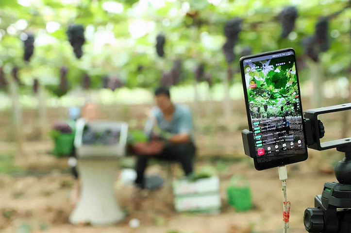 ũ��Ʒ����ƵӪ���߻�-����ƵӪ��